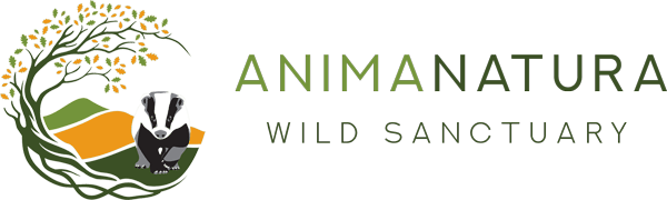 Animanatura Wild Sanctuary Semproniano