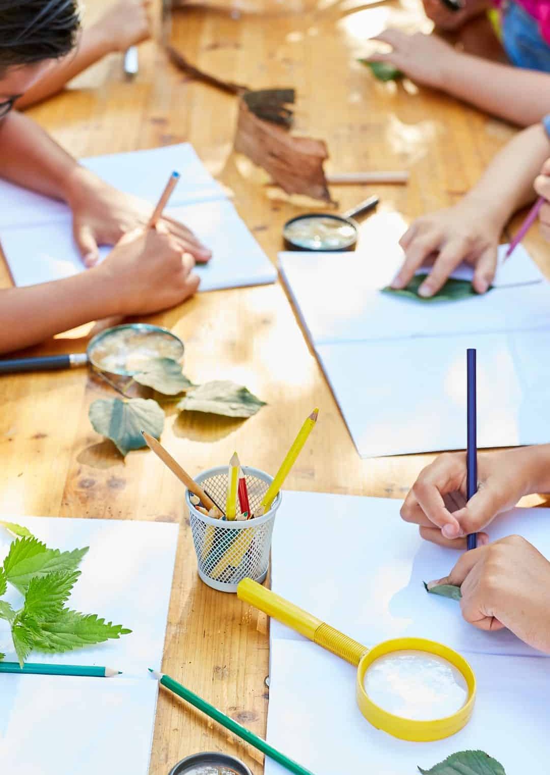 Animanatura Elementi Verticali